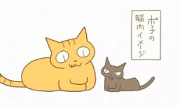 喵星人漫画,萌宠日常，欢乐满溢