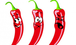 小辣椒漫画,趣味横生的日常趣事