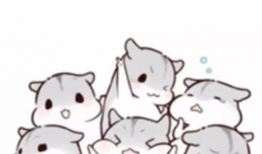 仓鼠漫画图片,萌宠日常趣事大盘点